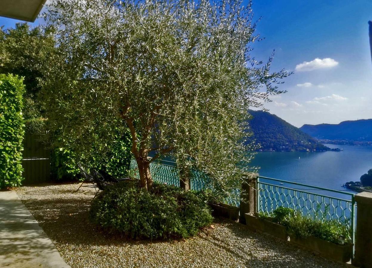 Como Lake Panorama Apartment Sveva Cernobbio Eksteriør bilde