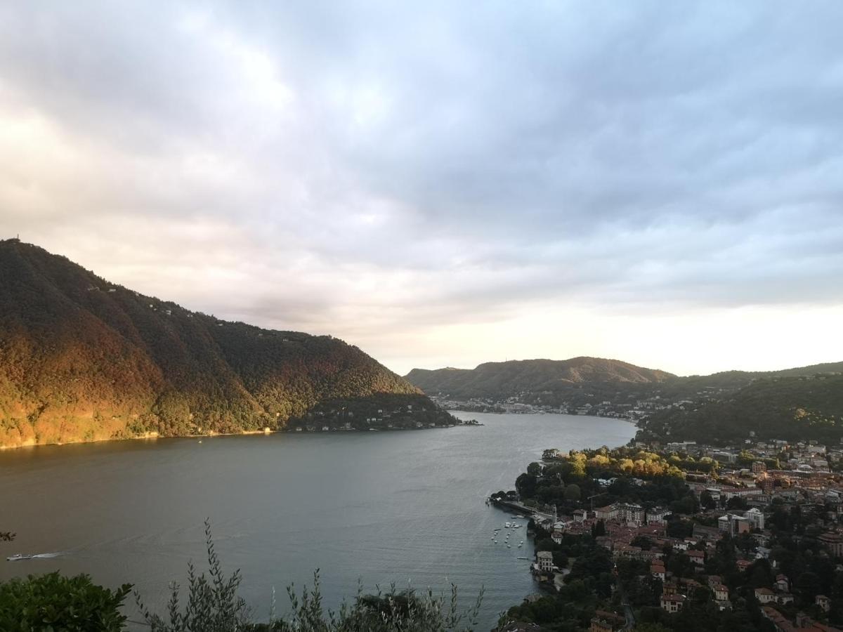 Como Lake Panorama Apartment Sveva Cernobbio Eksteriør bilde